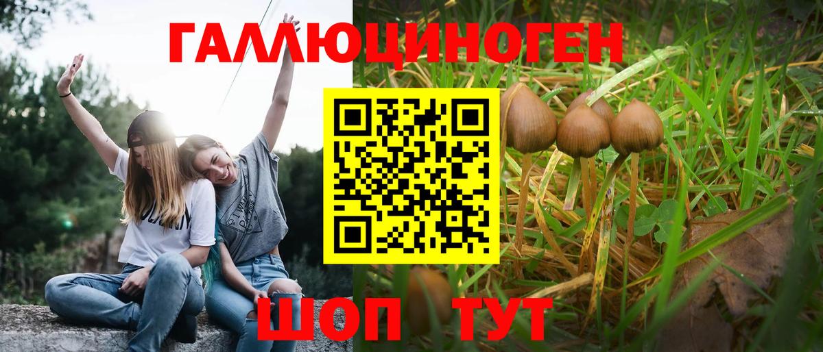 Галлюциногенные грибы MAGIC MUSHROOMS  цена   Вход с VPN  Елизово  Галлюциногенные грибы ЛСД 