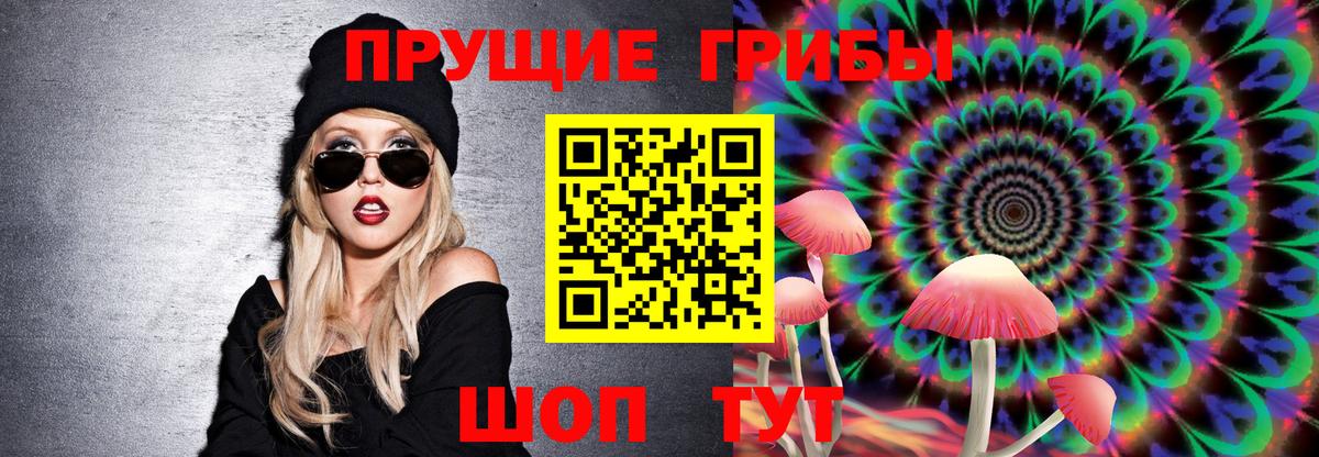 Галлюциногенные грибы Елизово